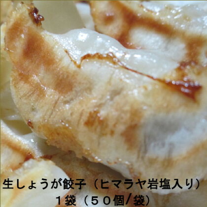 餃子 生しょうが餃子 50個 冷凍 ヒマラヤ 岩塩 22g×50個