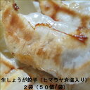 【ふるさと納税】餃子 生しょうが餃子 100個 冷凍 ヒマラヤ 岩塩 22g×100個 1