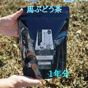 【ふるさと納税】【年内発送】お茶 馬ぶどう茶 ティーパック 健康茶 1年分