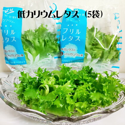 【年内発送】レタス 野菜 水耕栽培 農薬不使用 低カリウムレタス 5袋 セット