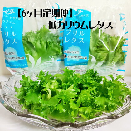 【定期便】レタス 野菜 水耕栽培 農薬不使用 低カリウムレタス 6ヶ月間