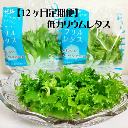 【定期便】レタス 野菜 水耕栽培 農薬不使用 低カリウムレタス 12ヶ月間