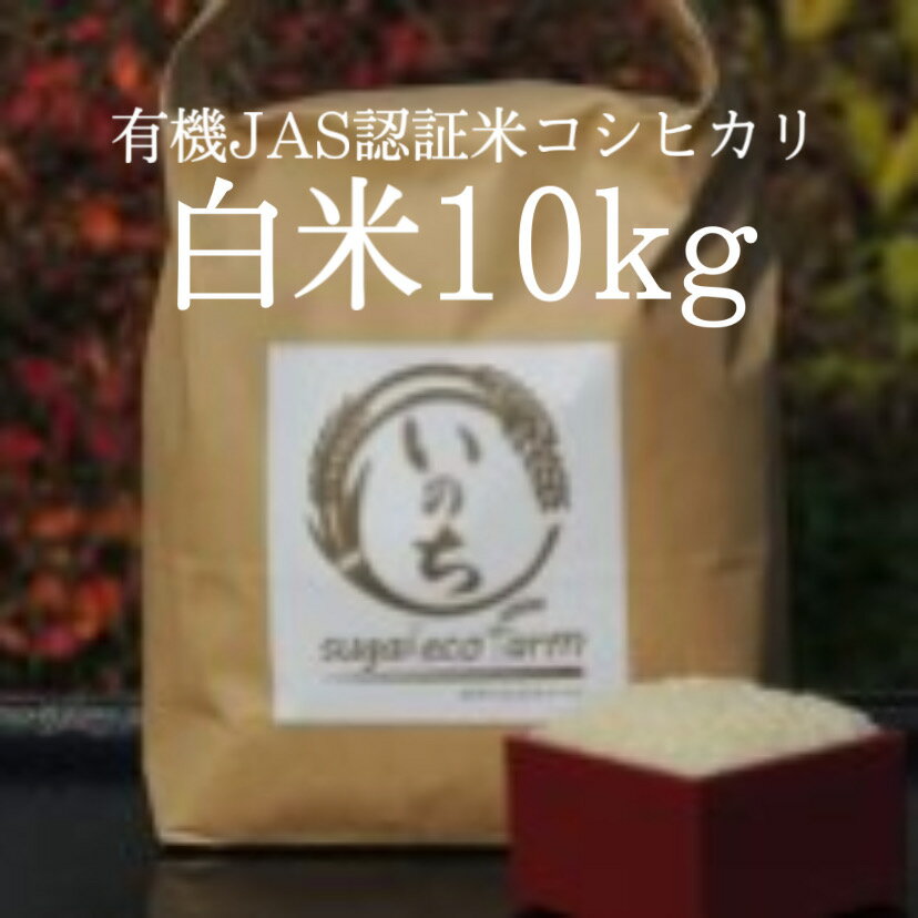 【ふるさと納税】コシヒカリ 白米 10kg 令和5年度産 有