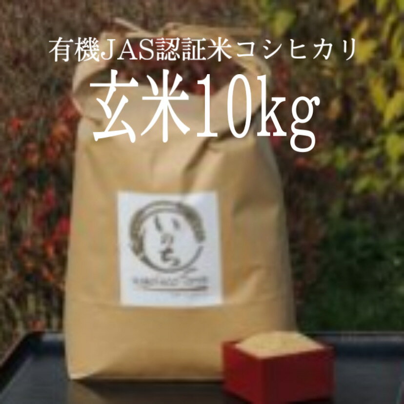 【ふるさと納税】コシヒカリ 玄米 10kg 令和5年度産 有