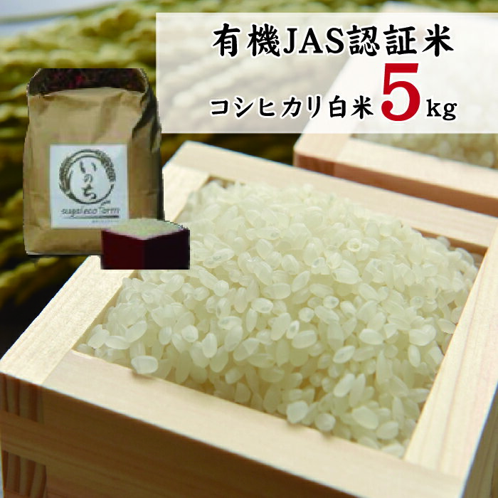 【ふるさと納税】【年内発送】コシヒカリ 白米 5kg 有機 