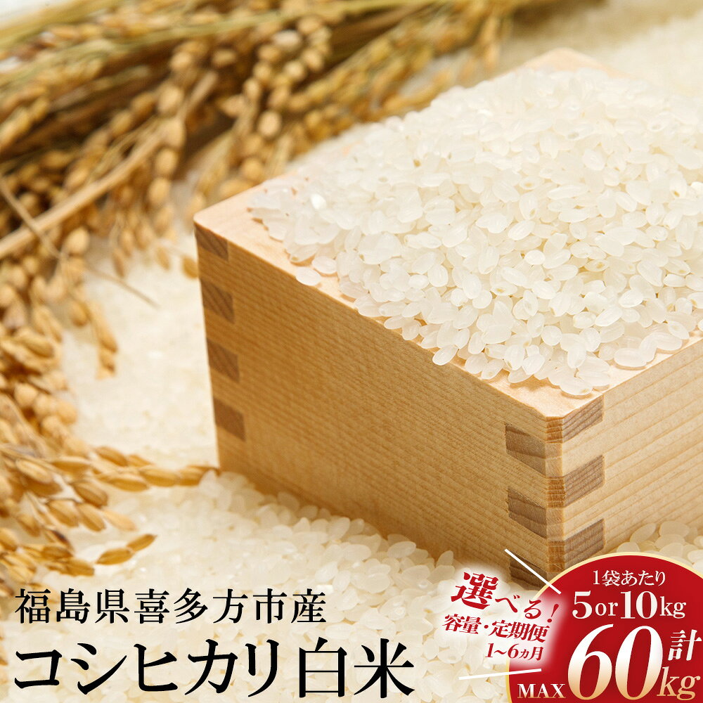 【令和8年産先行予約！】特別栽培米コシヒカリ 【選べる内容量・お届け回数】5kg 10kg 1～6回 [米・食味分析鑑定コンクール国際大会 特別優秀賞受賞] こめ 米 白米 おこめ ごはん 福島県 喜多方市 スガイエコファーム
