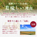 【ふるさと納税】【年内発送】ミルキークイーン 白米 5kg 特別栽培米 令和5年産 美米郷会津柴城米 精米仕立て発送 GAP認証農園産 3