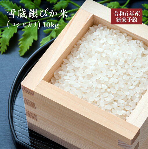 【ふるさと納税】【令和6年産】雪蔵銀ぴか米(コシヒカリ)10kg 【07208-0347-C】 【ふるさと納税】【令和6年産】雪蔵銀ぴか米(コシヒカリ)10kg 【07208-0347-C】