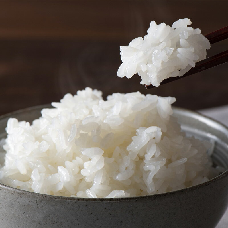 【ふるさと納税】令和7年産 コシヒカリ　10kg【07208-0658】