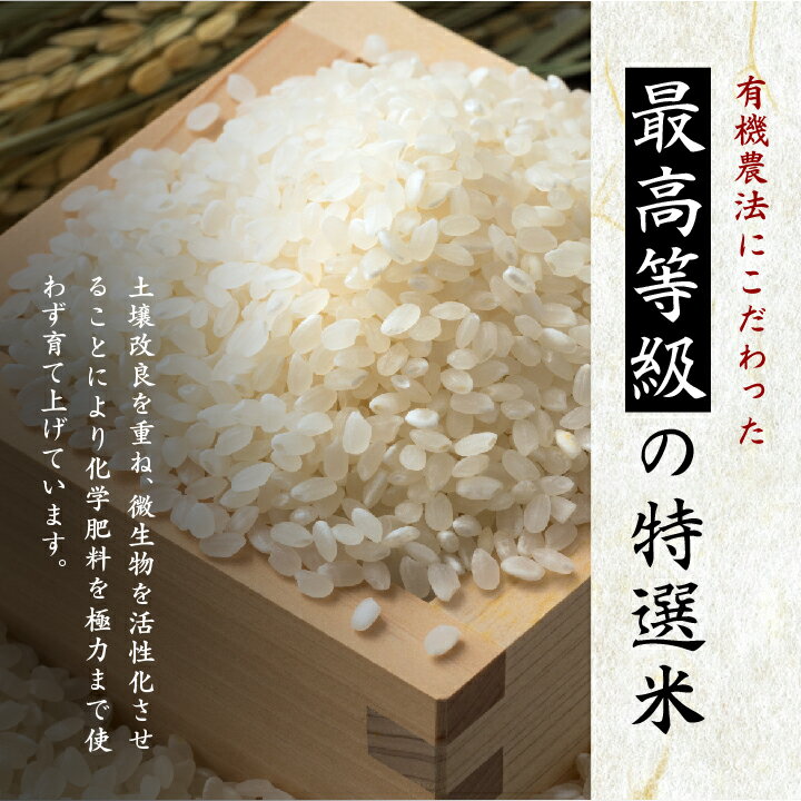 【ふるさと納税】 《2025年10月以降順次発送》＼選べる内容量！／福島県二本松市 二本松 十万石米5kg〜10kg 米 白米 人気 こしひかり コシヒカリ 5kg 10kg ランキング おすすめ お中元 お歳暮 ギフト 二本松市 ふくしま 福島県 送料無料 【Y&Tカンパニー】