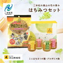 【ふるさと納税】 はちみつセットA 4種のはちみつ 各50g入りセット はちみつ 調味料 人気 ランキング おすすめ ギフト 故郷 ふるさと 納税 福島 ふくし...