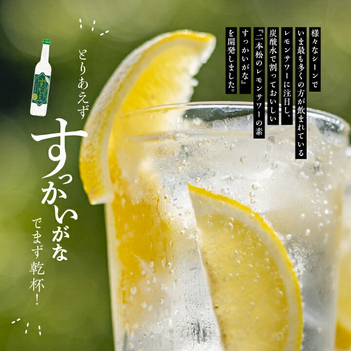 【ふるさと納税】 奥の松酒造「すっかいがな」500ml×2本 奥の松 リキュール 酒 アルコール レモンサワー サワー 酒造 酒蔵 さけ おすすめ お中元 お歳暮 ギフト 二本松市 ふくしま 福島県 送料無料 【道の駅安達】
