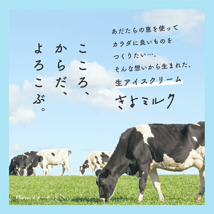 【ふるさと納税】 《2024年12月中旬以降発送》無添加にこだわったソフトクリーム！「きよミルク」12個入【あだたらのちち】 ソフトクリーム アイス アイスクリーム スイーツ おすすめ お中元 お歳暮 ギフト 二本松市 ふくしま 福島県 送料無料