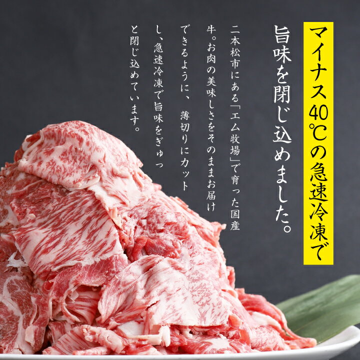 【ふるさと納税】 国産牛 赤身 切り落とし 1kg (500g × 2パック) 福島県 二本松市産 薄切り 厳選 国産 ヘルシー 肉 牛肉 エム牧場 小分け しゃぶしゃぶ 牛丼 すき焼き すきやき おすすめ お歳暮 ギフト 発送 時期 ふくしま 福島 送料無料 【コーシン】