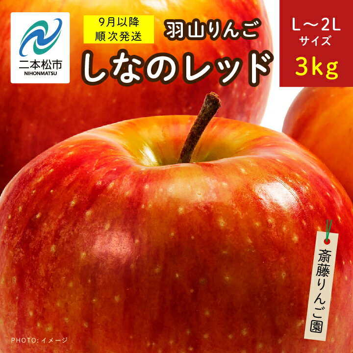 [2024年9月以降順次]羽山りんご しなのレッドL〜2Lサイズ3kg りんご 果物 フルーツ 羽山りんご 3kg しなのレッド 人気 くだもの おすすめ お中元 お歳暮 ギフト 二本松市 ふくしま 福島県 送料無料 [斎藤りんご園]