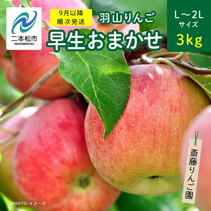 [2024年9月以降順次]羽山のりんご 早生おまかせL〜2Lサイズ3kg りんご 果物 フルーツ 羽山りんご 3kg 早生 人気 くだもの おすすめ お中元 お歳暮 ギフト 二本松市 ふくしま 福島県 送料無料 [斎藤りんご園]