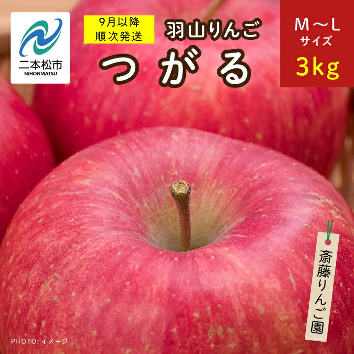 1位! 口コミ数「0件」評価「0」 《2024年9月中旬以降順次》羽山のりんご　つがるM～Lサイズ3kg りんご 果物 フルーツ 羽山りんご 3kg つがる 人気 くだもの ･･･ 