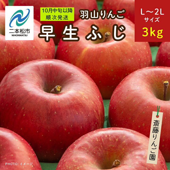 商品名 【ふるさと納税】《2024年10月中旬以降順次》羽山のりんご　早生ふじL〜2Lサイズ3kg【斎藤りんご園】 名称 りんご 内容量 3kg 原材料 りんご 賞味期限 到着後お早めにお召し上がりください。 保存方法 常温 配送方法 常温便 説明文 あぶくま高原の澄んだ空気と気候が育んだ「羽山りんご」当園のりんごは袋をかぶせずに育てる無袋栽培。太陽の光をたっぷり当てることで糖度の高いおいしいりんごに育ちます。しかし、そのためには人の手でりんごを回転させる作業が欠かせず、ひとつ、ひとつ、我が子のように手塩にかけて育てています。また、枝に実をつけたまま完熟させてから収穫するため、みずみずしい香りを損なわずお届けできます。箱を開けた瞬間、まるでりんごの畑に足を踏み入れたかのように広がる芳醇な香りをお楽しみください。酸味と甘みのバランスが良く、美味しいりんごです。※個数はおおよその目安になります。予めご了承ください。 事業者名 斎藤りんご園福島県二本松市百目木平175 ふるさと納税よくある質問はこちら 寄附申込みのキャンセル、返礼品の変更・返品はできません。あらかじめご了承ください。こちらもおすすめ！ 「ふるさと納税」寄附金は、下記の事業を推進する資金として活用してまいります。 寄附を希望される皆さまの想いでお選びください。 1.健康で暮らし続けられるまち (健康づくり支援、地域福祉の充実、生涯学習・生涯スポーツの推進などに活用。) 2.地域の誇りに満ちた活力あるまち (自然・歴史・文化を活かしたまちづくり、農業・商工業の振興、地域づくりの推進などに活用。) 3.世代をつないで人を育むまち (子育て支援、教育環境整備、若者の定住促進、国際交流などに活用。) 4.安全で快適な暮らしのあるまち (居住環境の整備、防犯・防災体制の充実、自然との共生などに活用。) 5.おまかせ (特に限定しない) ■受領証明書 入金確認後、注文内容確認画面の【注文者情報】に記載の住所へ申込完了日から2週間程度で発送いたします。 ■ワンストップ特例申請書 希望者には申請書を受領証明書と一緒にお送りしますので、必要情報を記載の上返送してください。 「自治体マイページ」よりオンラインでの申請も可能です。 二本松市の人気返礼品カテゴリー