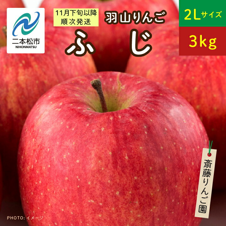 28位! 口コミ数「0件」評価「0」 《2024年11月下旬以降順次》羽山のりんご　ふじ2Lサイズ3kg りんご 果物 フルーツ 羽山りんご 3kg ふじ 人気 くだもの おす･･･ 