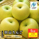 13位! 口コミ数「0件」評価「0」 《2024年11月中旬以降発送》羽山りんご 品種おまかせ(中生)5kg 玉数L(18玉)～3L(14玉) りんご リンゴ 林檎 国産りんご･･･ 