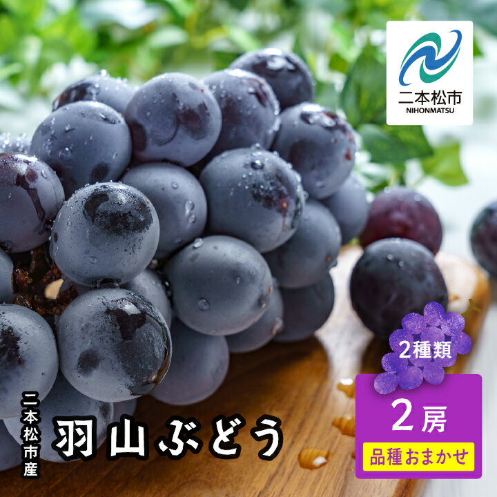 [2025年9月初旬以降発送]羽山のぶどうおまかせ 2房(1.4kg)ブドウ ぶどう 葡萄 フルーツ 果物 人気 ランキング おすすめ ギフト 故郷 ふるさと 納税 福島 ふくしま 二本松市 送料無料 [羽山果樹組合]