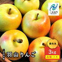 【ふるさと納税】《2025年10月下旬以降発送》羽山のりんご トキ3kg りんご リンゴ 林檎 国産りんご フルーツ 果物 人気 ランキング おすすめ ギフト ...