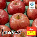 【ふるさと納税】《2025年12月上旬以降発送》羽山りんご 完熟サンふじ 3kg りんご リンゴ 林檎 国産りんご フルーツ 果物 人気 ランキング おすすめ ...