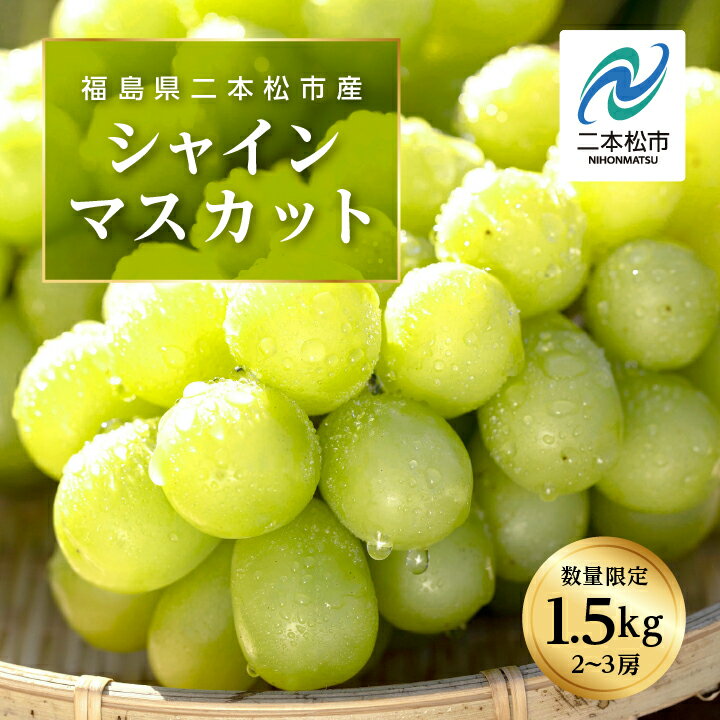[2025年9月中旬以降発送]羽山のぶどうシャインマスカット1.5kg ぶどう シャインマスカット フルーツ 果物 ブドウ 葡萄 旬 グルメ おいしい 人気 ランキング おすすめ ギフト 福島 ふくしま 二本松市 送料無料 [羽山果樹組合]