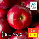 8位! 口コミ数「1件」評価「5」 《2024年10月中旬以降発送》羽山のりんご　紅玉5kg りんご 林檎 旬 フルーツ 果物 食感 新鮮 甘い 甘み 酸味 グルメ おいしい･･･ 