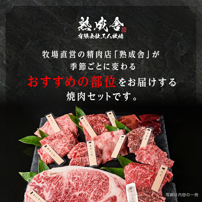 【焼肉】【BBQ】【バーベキュー】骨付きソーセージ