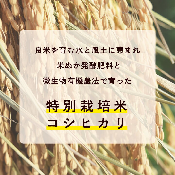 【ふるさと納税】 完熟菊姫米 特別栽培米 コシヒカリ 玄米 5kg 米 お米 こめ 小分け 使いやすい 県産米 国産米 福島県産 地域 支援 支援米 グルメ おいしい おすすめ お中元 お歳暮 ギフト 二本松市 ふくしま 福島県 送料無料 【ADATARAふぁーむ】