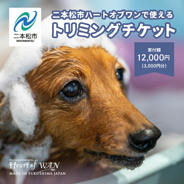 【ふるさと納税】 トリミングチケット 3,000円分 トリミング 愛犬 ワンちゃん 犬 ペット トリミングチケット サロン わんちゃん おすすめ お中元 お歳暮 ギフト 二本松市 ふくしま 福島県 送料無料 【ハートオブワン】