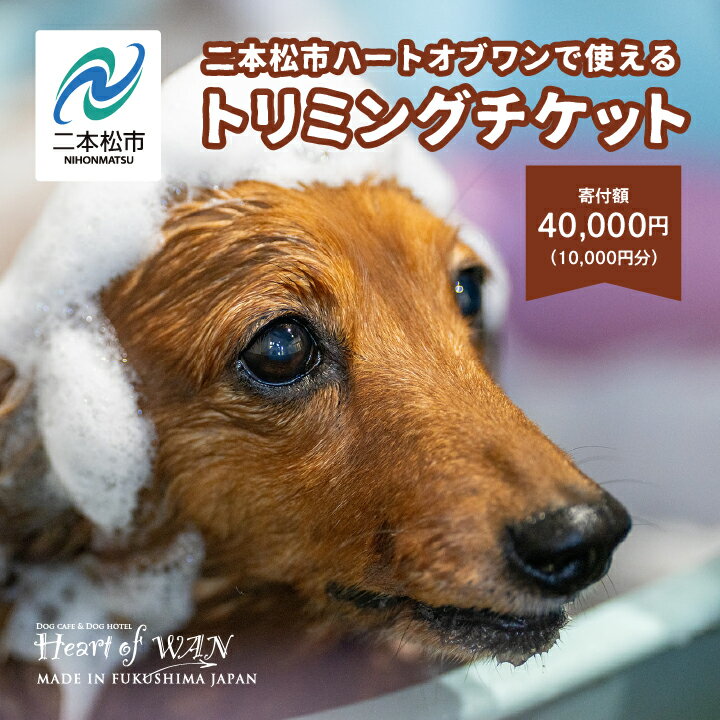 【ふるさと納税】 トリミングチケット 10,000円分 トリ