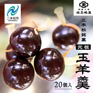 【ふるさと納税】 二本松の名物 銘菓《玉嶋屋の玉羊羹》20個入り 羊羹 ようかん 玉羊羹 銘菓 玉嶋屋 和菓子 餡子 あんこ おすすめ お中元 お歳暮 ギフト 二本松市 ふくしま 福島県 送料無料 【御菓子師 玉嶋屋】