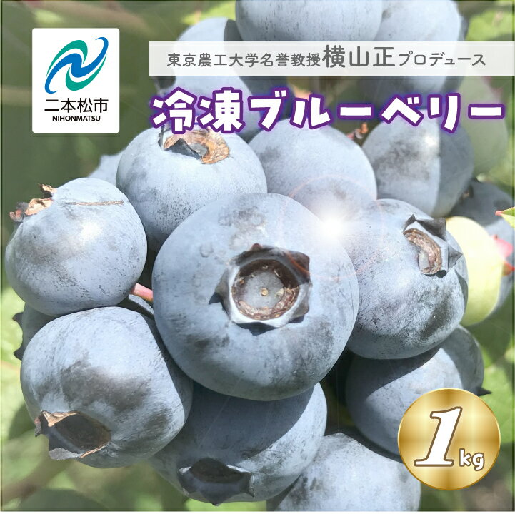 【ふるさと納税】 東京農工大学名誉教授「横山 正」ブランドのブルーベリー冷凍果実1kg(品種おまかせ) ブルーベリー 産地 直送 新鮮 大粒 収穫 完熟 農家 果物 冷凍 おすすめ お中元 お歳暮 ギフト 二本松市 ふくしま 福島県 送料無料 【東和ブルーベリー研究農園】