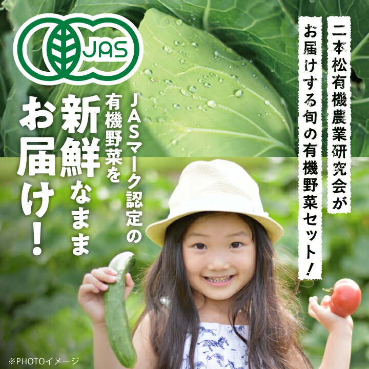 【ふるさと納税】 ＜2024年10月より順次発送＞季節の有機野菜「秋・冬セット」 オーガニック 有機栽培 有機 有機JAS 有機野菜 野菜セット 野菜 サラダ おすすめ お中元 お歳暮 ギフト 二本松市 ふくしま 福島県 送料無料 【二本松有機農業研究会】