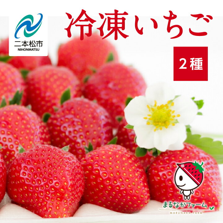 9位! 口コミ数「0件」評価「0」 冷凍いちご2種 いちご 冷凍いちご ストロベリー 苺 イチゴ フルーツ 果物 おすすめ お中元 お歳暮 ギフト 二本松市 ふくしま 福島県･･･ 