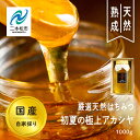 【ふるさと納税】 自家採り国産天然はちみつ 国産厳選 初夏の極上アカシヤ 蜂蜜 はちみつ ハチミツ 国産 アカシヤ ハニー 天然 無添加 おすすめ お中元 お歳...