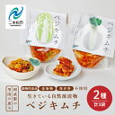 【ふるさと納税】 《2025年10月以降順次発送》ベジキムチ(白菜2袋/大根1袋) キムチ 白菜 大根 手作り 無添加 ごはんのおとも ご飯のおとも おすすめ ...