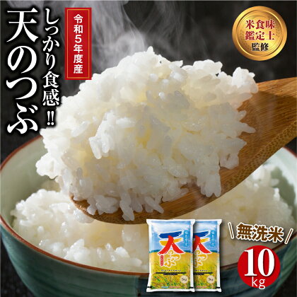 ＼令和5年産／ 【無洗米】 田村市産 天のつぶ 10kg ( 5kg × 2袋 ) ギフト 贅沢 のし対応 1週間以内発送 福島 ふくしま 田村 贈答 美味しい 米 kome コメ ご飯 ブランド米 精米したて お米マイスター 匠 食味鑑定士 安藤米穀店