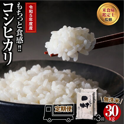 ＼ 令和5年産 ／【 無洗米 】 定期便 3回 田村産 コシヒカリ 10kg (5kg × 2袋) 計 30kg 配送 ギフト 贅沢 のし対応 1週間以内発送 福島 ふくしま 田村 贈答 米 kome コメ ご飯 ブランド米 精米したて お米マイスター 匠 食味鑑定士 安藤米穀店