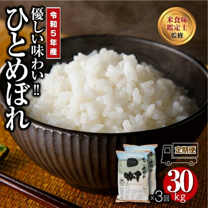 ＼ 令和5年産 ／ 定期便 3回 田村市産 ひとめぼれ 10kg ( 5kg × 2袋 ) 計 30kg 配送 ギフト 贅沢 のし対応 1週間以内発送 福島 ふくしま 田村 贈答 美味しい 米 kome コメ ご飯 ブランド米 精米したて お米マイスター 食味鑑定士 安藤米穀店