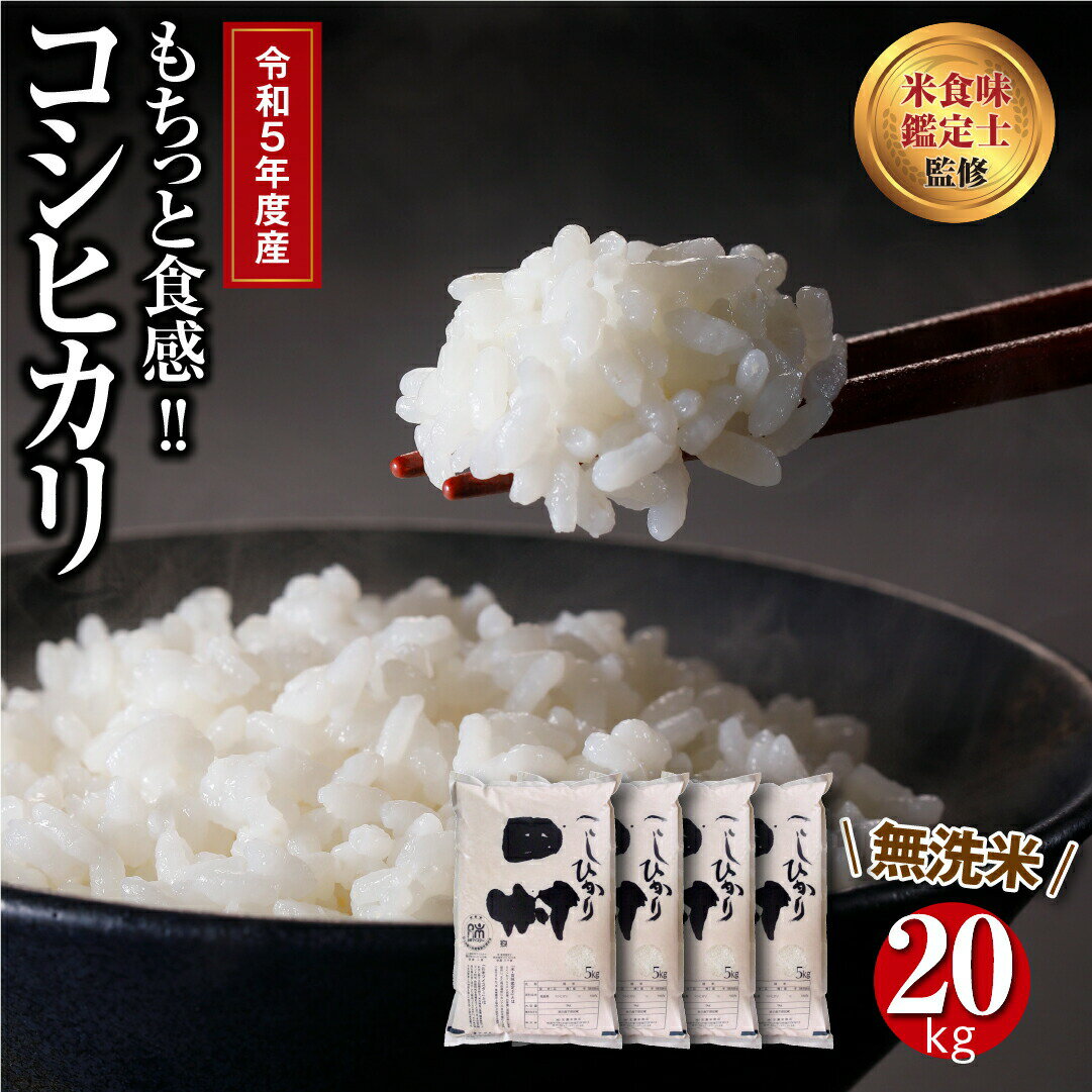 20位! 口コミ数「1件」評価「5」 【令和5年産 】 田村産 無洗米 コシヒカリ 20kg ( 5kg × 4袋 ) ギフト 贅沢 のし対応 1週間以内発送 福島 ふくしま ･･･ 