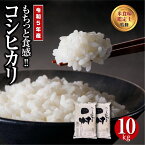 【ふるさと納税】 【令和5年産 】 田村産 コシヒカリ10kg (5kg×2袋) ギフト 贅沢 のし対応 1週間以内発送 福島 ふくしま 田村 贈答 美味しい 米 kome コメ ご飯 ブランド米 精米したて お米マイスター 匠 食味鑑定士 安藤米穀店