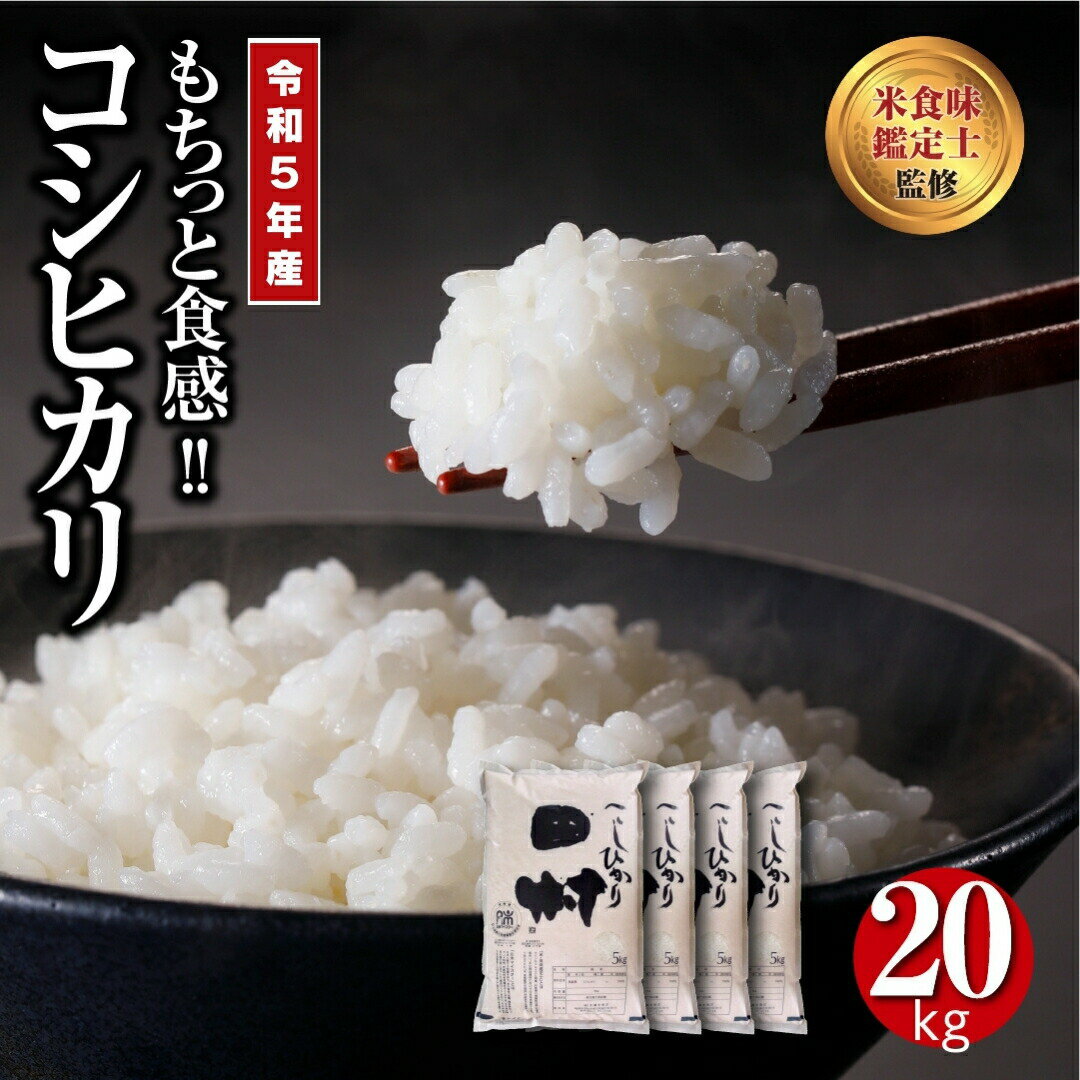 【ふるさと納税】 【 令和5年産 】 田村産 コシヒカリ 2