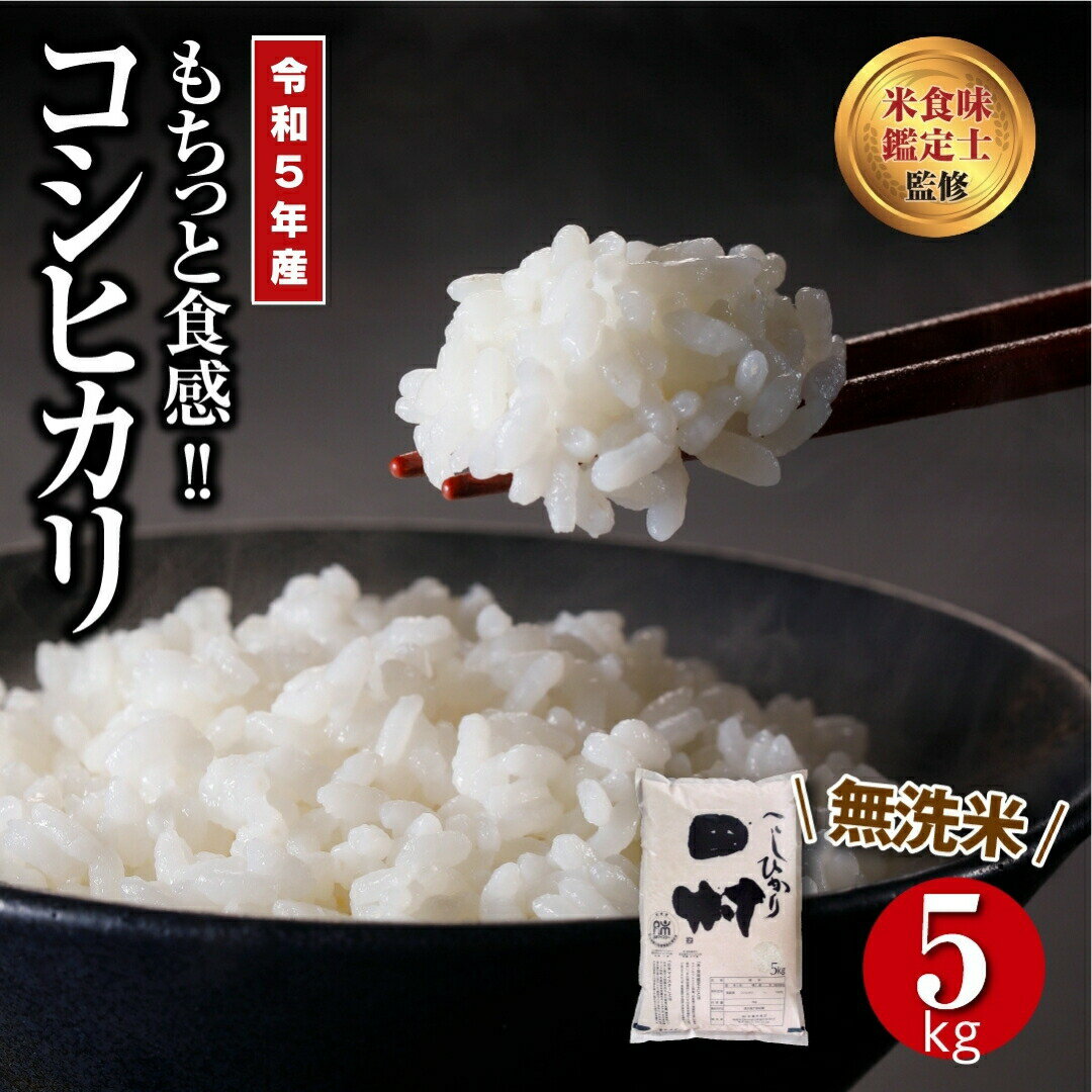 [ 令和5年産 ] 田村産 無洗米 コシヒカリ 5kg ギフト 贅沢 のし対応 1週間以内発送 福島 ふくしま 田村 贈答 美味しい 米 kome コメ ご飯 ブランド米 精米したて お米マイスター 匠 食味鑑定士 安藤米穀店