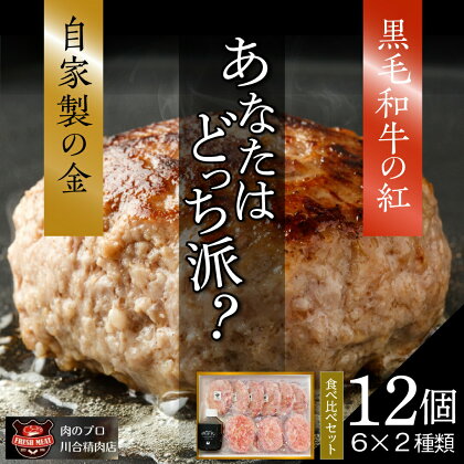 自家製 ハンバーグ 食べ比べ セット 6個 2種類 小分 パック 冷凍保存 肉 牛肉 おかず お弁当 ジューシー 人ランキング ギフト 贈答 プレゼント 熨斗 のし 牛 豚 鶏 羊 福島県 田村市 川合精肉店