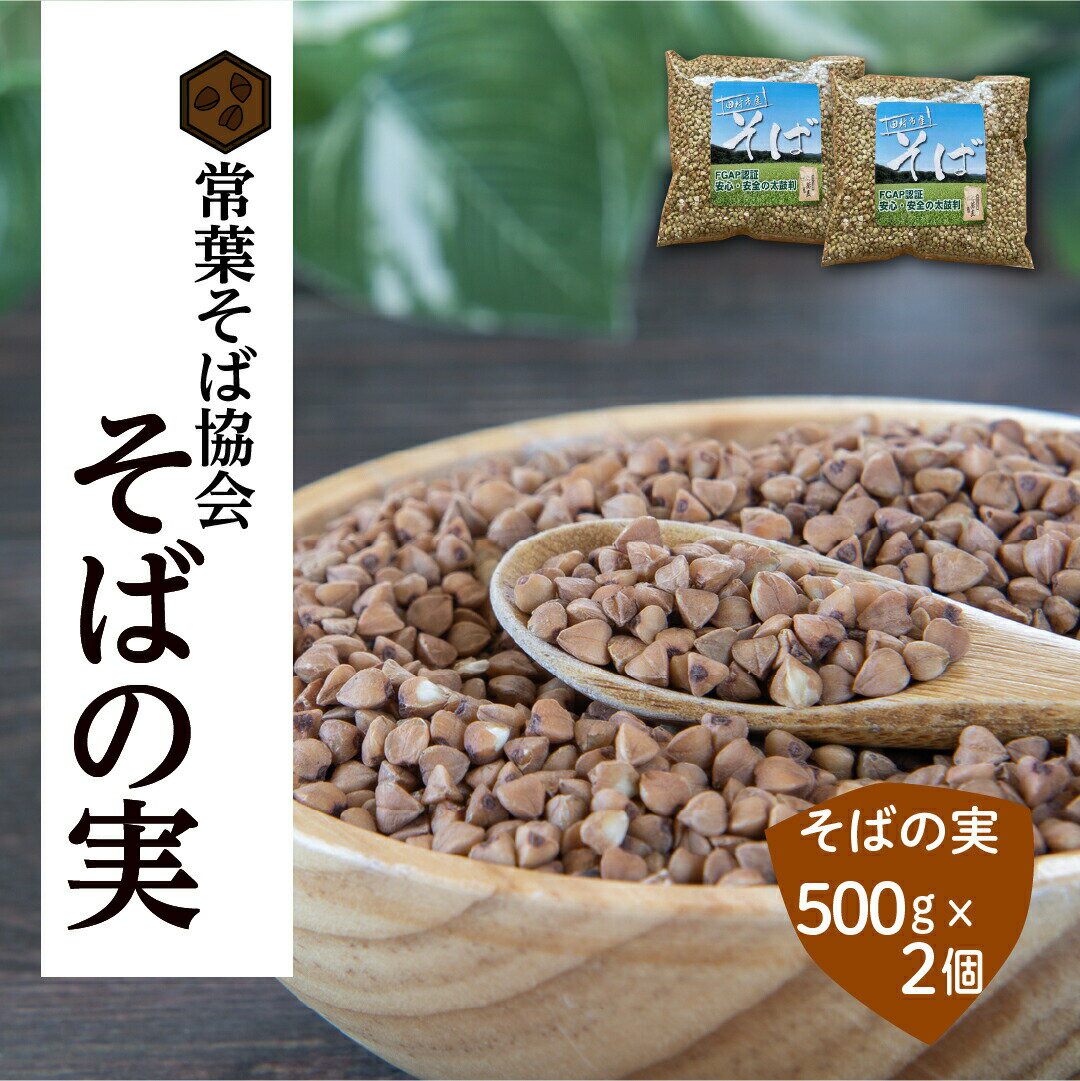 【ふるさと納税】あぶくま高原 そば そばの実 1kg ( 500g × 2個 ) 蕎麦 そば打ち 低GI ダイエット GAP FGAP 国産 おすすめ お中元 送料無料 緊急支援品 生活応援 コロナ支援 福島県 田村市 常葉そば協会