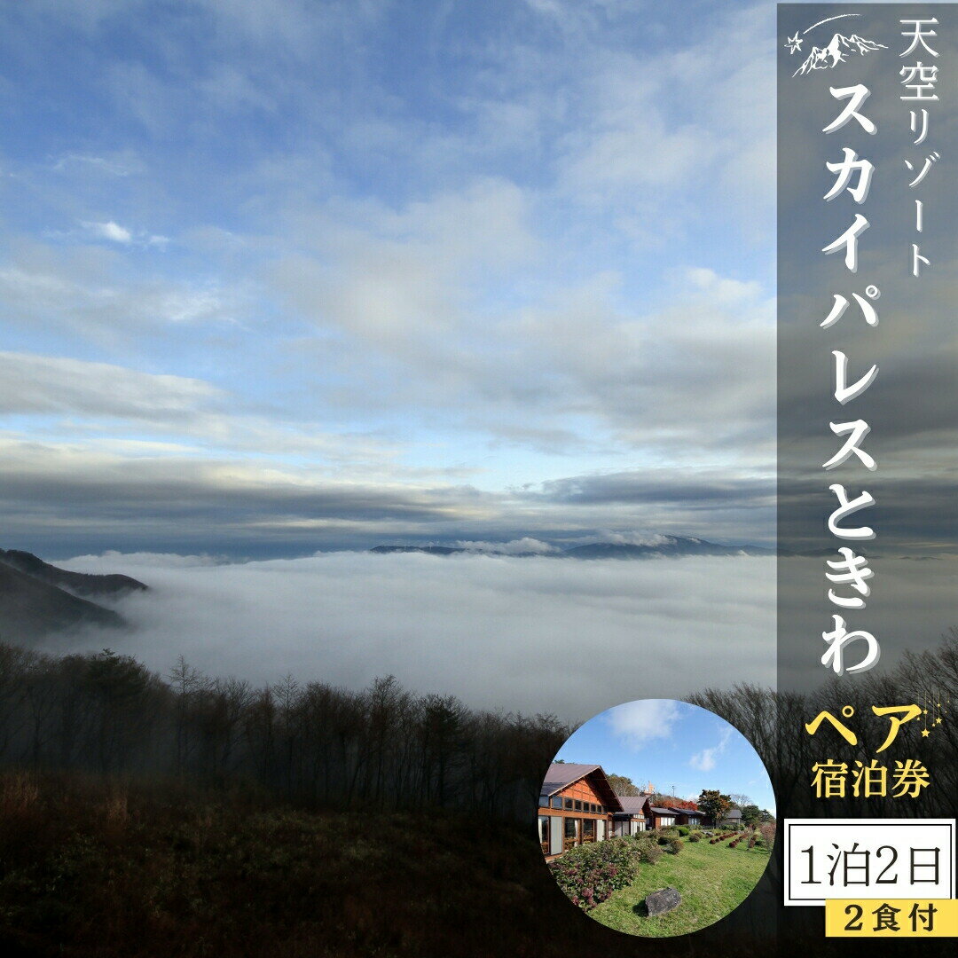 【ふるさと納税】【 1泊2食付 ペア宿泊券 】 天空 リゾート スカイパレスときわ 宿泊券 2名 1泊2日 朝食 夕食 貸切風呂 展望 洋室 和室 雲海 山頂 自然 ビール 旅行 観光 チケット 発行日より2…