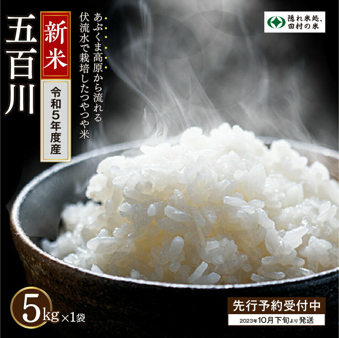 【ふるさと納税】【10月以降価格改定】【新米】【10月以降価格改定】 ＼ 先行予約 ／ 無洗米 五百川 5kg 令和5年産 米 精米 白米 先行予約 こめ コメ 5キロ 福島県産米 田村市 人気 ランキング おすすめ 初物 お歳暮 ギフト 故郷 光農園のサムネイル